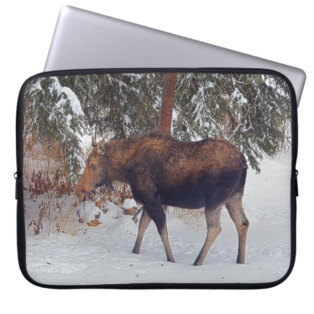 Funda Para Portátil Vaca y bosque de invierno silvestres canadienses (Frente)