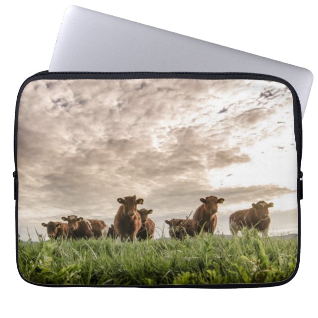 Funda Para Portátil Vacas (Frente)