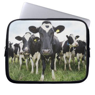 Funda Para Portátil Vacas de pie en fila mirando la cámara