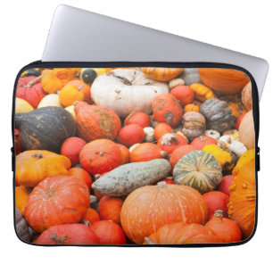 Funda Para Portátil Variedad de calabaza a la venta, Alemania