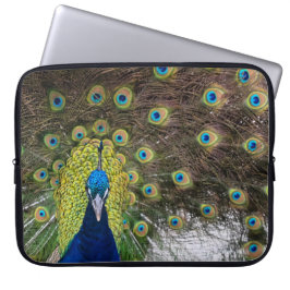 Funda Para Portátil Vibrantes plumas de pavo real