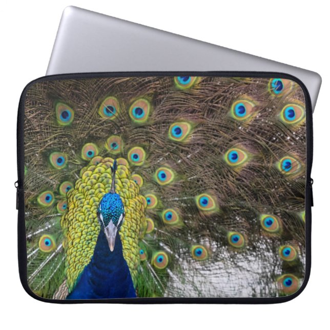 Funda Para Portátil Vibrantes plumas de pavo real (Frente)