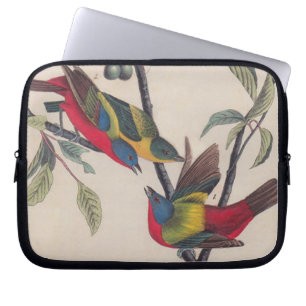 Funda Para Portátil Vida silvestre de las aves de Bunting de Audubon
