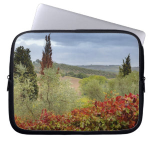 Funda Para Portátil Viñedo cerca de Montalcino, Toscana, Italia
