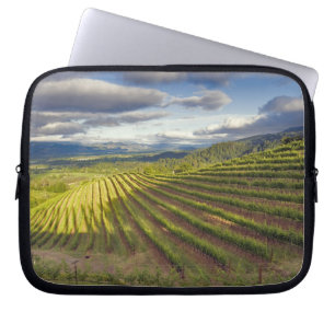 Funda Para Portátil Viñedo. Napa Valley. Napa. Condado de Napa,