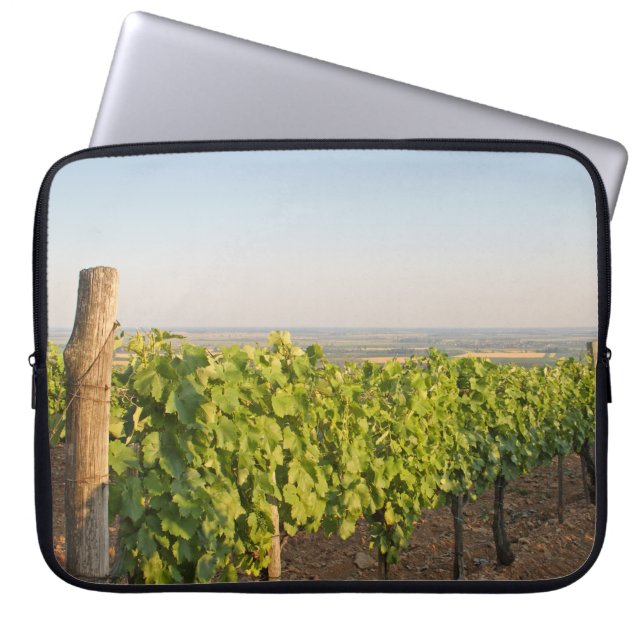 Funda Para Portátil Viñedos Tokaj, Hungría (Frente)