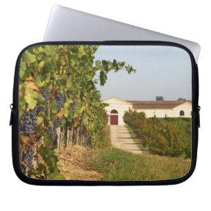 Funda Para Portátil Viñedos, vides de petit verdot y la bodega en