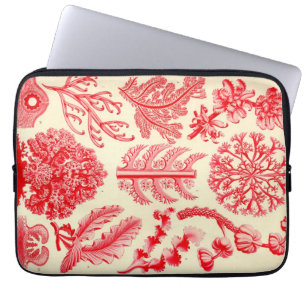 Funda Para Portátil Vintage Haeckel