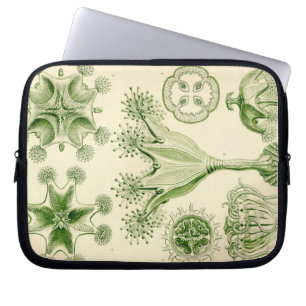 Funda Para Portátil Vintage Haeckel