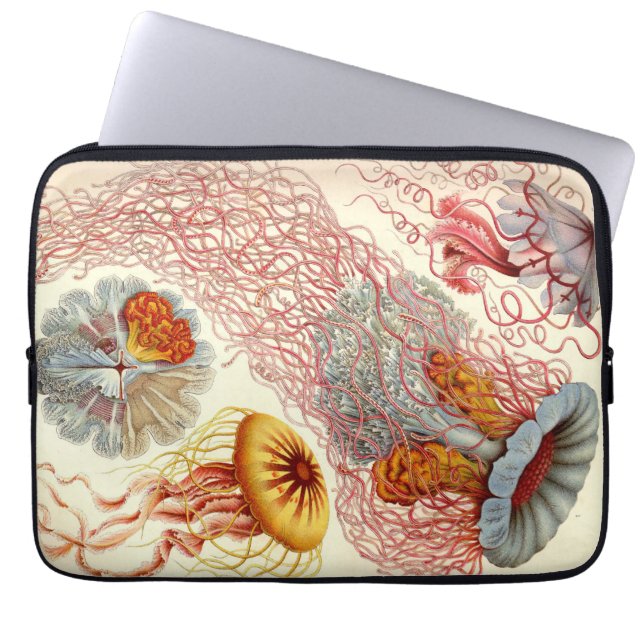 Funda Para Portátil Vintage Haeckel (Frente)