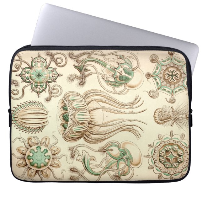 Funda Para Portátil Vintage Haeckel (Frente)