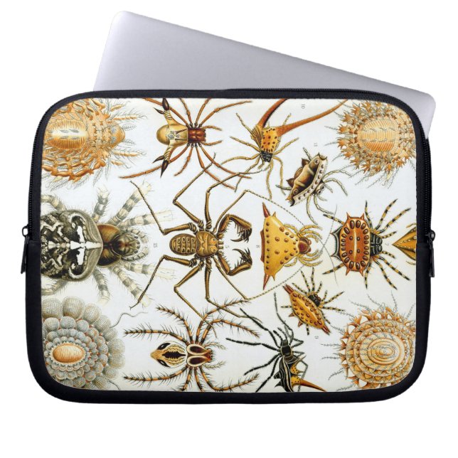 Funda Para Portátil Vintage Haeckel Bugs & Spiders (Frente)