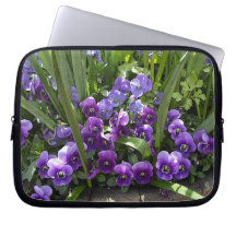 Violaciones púrpuras