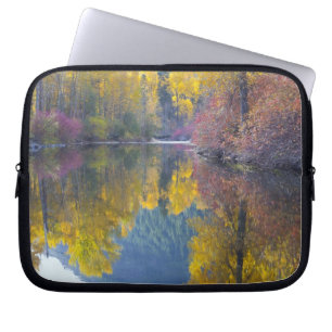 Funda Para Portátil WA, Bosque Nacional Wenatchee, arroyo Whitepine,
