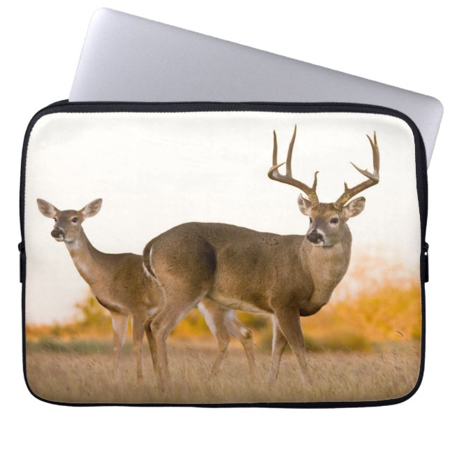 Funda Para Portátil White-tailed Deer | Autumn in Texas (Frente)