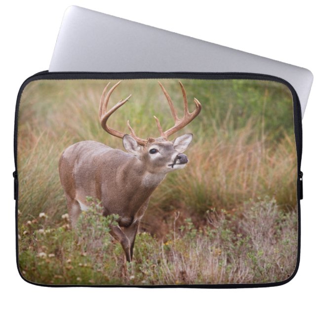 Funda Para Portátil White-tailed Deer Autumn in Texas (Frente)