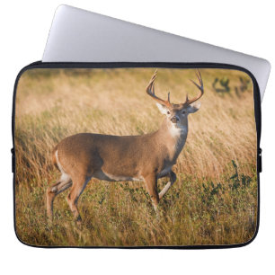 Funda Para Portátil White-tailed Deer Autumn in TX