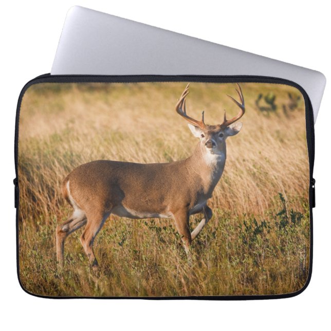 Funda Para Portátil White-tailed Deer | Autumn in TX (Frente)