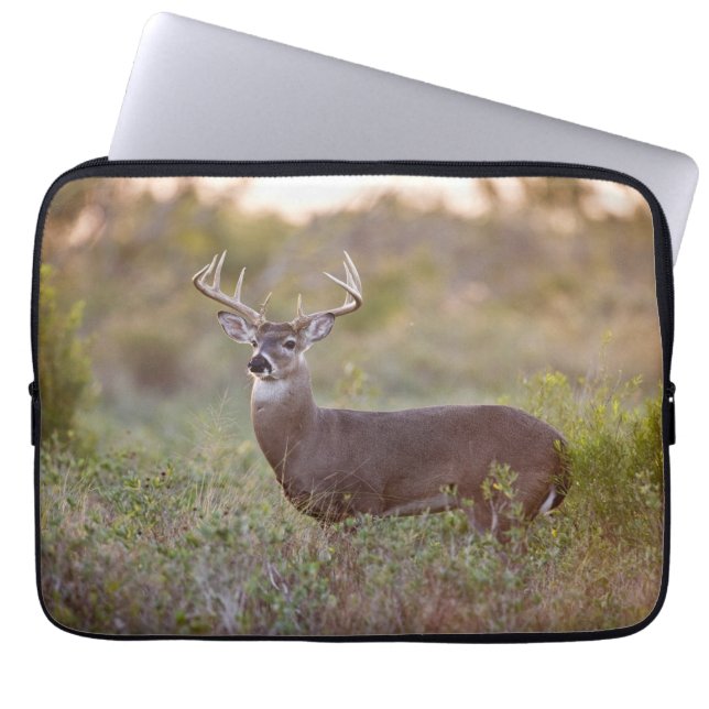 Funda Para Portátil White-tailed Deer | Fall in Texas (Frente)