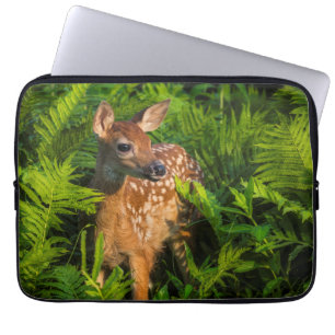 Funda Para Portátil White-tailed Deer Fawn Minnesota