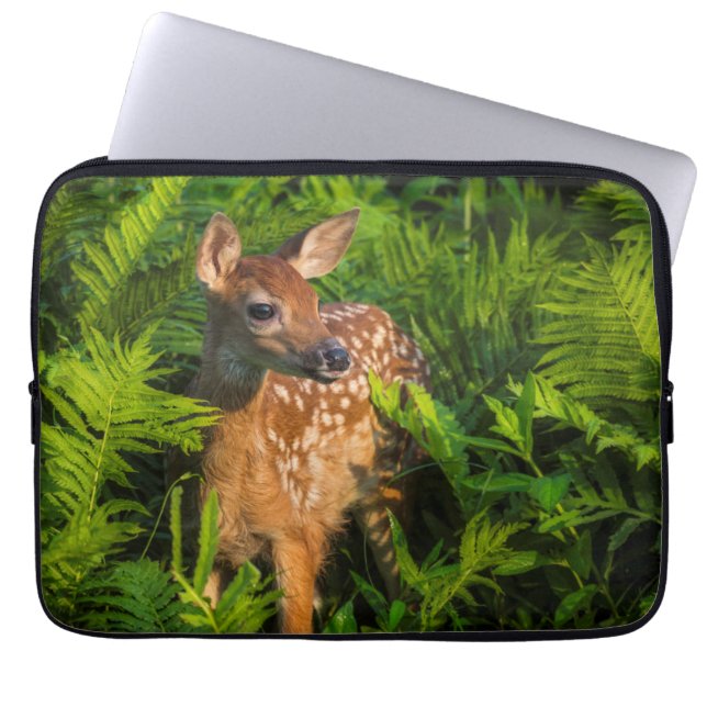 Funda Para Portátil White-tailed Deer Fawn | Minnesota (Frente)