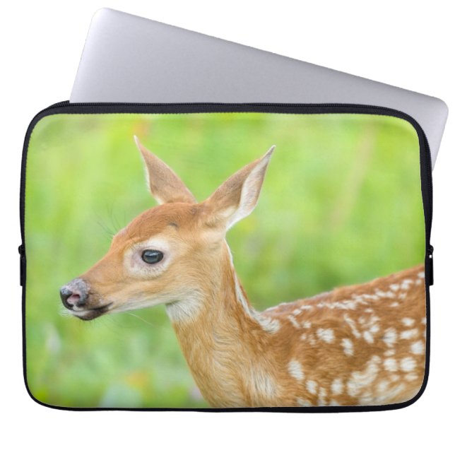 Funda Para Portátil White-Tailed Deer Fawn | Minnesota (Frente)
