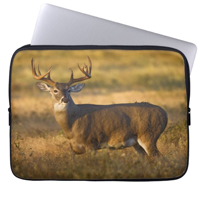 Funda Para Portátil White-tailed Deer | South Texas (Frente)