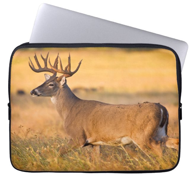 Funda Para Portátil White-tailed Deer | South TX (Frente)