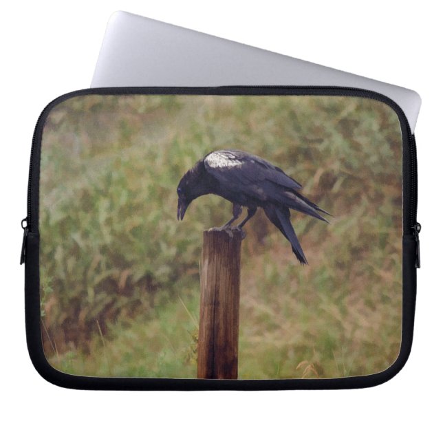 Funda Para Portátil White-Winged Raven and Fence-Post Art (Frente)