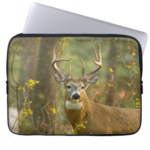 Funda Para Portátil Whitetail Deer Buck Pescado blanco, Montana