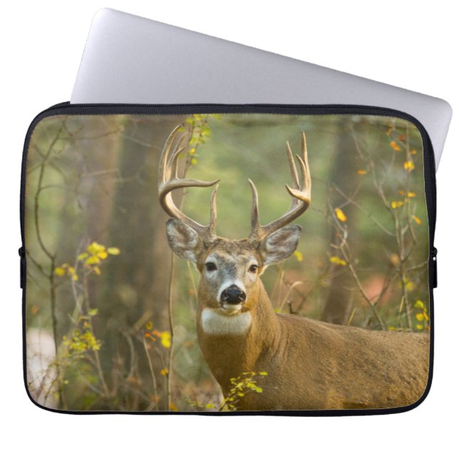 Funda Para Portátil Whitetail Deer Buck | Pescado blanco, Montana (Frente)