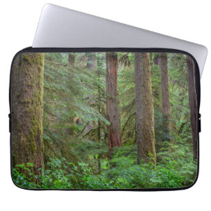 Funda Para Portátil Willamette National Forest   Oregon