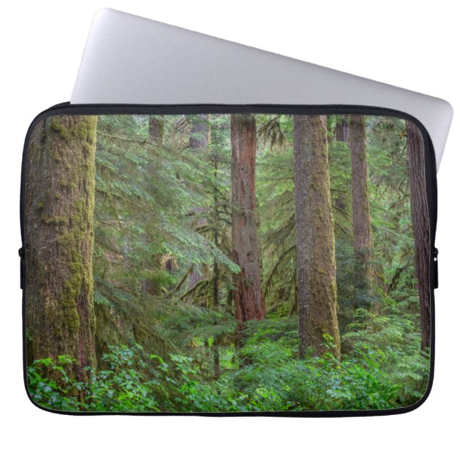 Funda Para Portátil Willamette National Forest | Oregon (Frente)