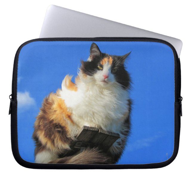 Funda Para Portátil Windy Calico Cat Up High (Frente)