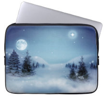 Winter Wonderland de noche