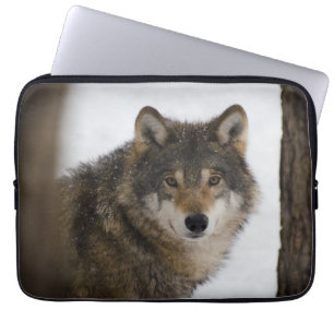Funda Para Portátil Wolf In Woods Electronics Bag