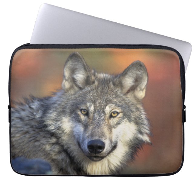 Funda Para Portátil Wolf Wisdom (Frente)