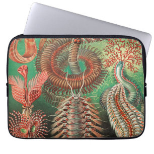 Funda Para Portátil Worms, Annelids Chaetopoda por Ernst Haeckel