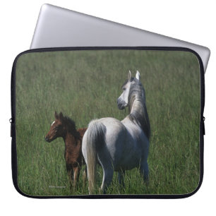 Funda Para Portátil Yegua y potro árabes