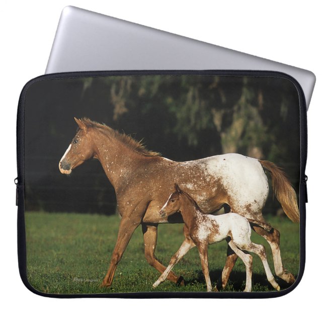 Funda Para Portátil Yegua y potro del Appaloosa (Frente)