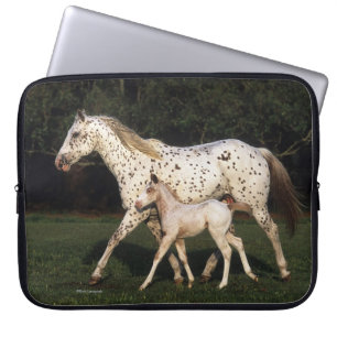 Funda Para Portátil Yegua y potro del Appaloosa en campo