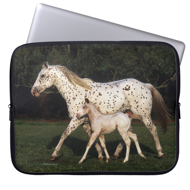 Funda Para Portátil Yegua y potro del Appaloosa en campo (Frente)