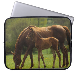 Funda Para Portátil Yegua y potro excelentes 2