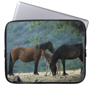 Funda Para Portátil Yegua y potro salvajes del mustango