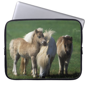 Funda Para Portátil Yegua y potros miniatura 1