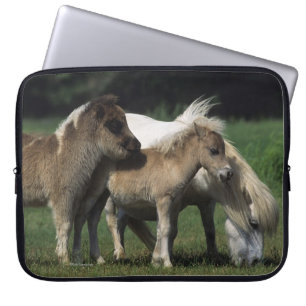 Funda Para Portátil Yegua y potros miniatura 3
