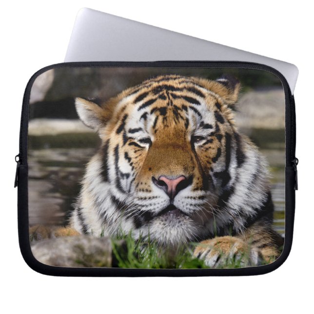 Funda para portátil Zambar Tiger (Frente)