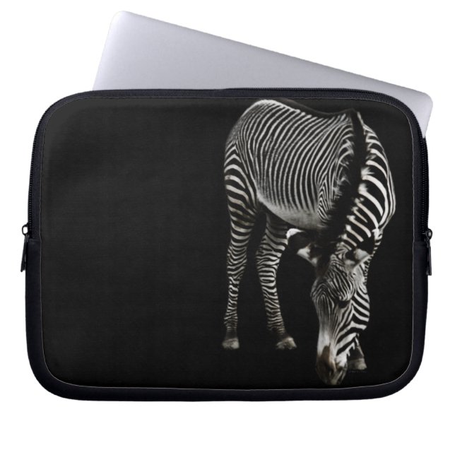 Funda para portátil Zebra P4435 (Frente)
