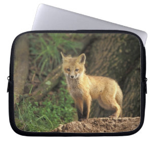 Funda Para Portátil Zorrito rojo delante de su madriguera (Vulpes vulp