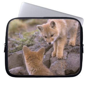 Funda Para Portátil Zorro gris sudamericano (Lycalopex griseus) pareja